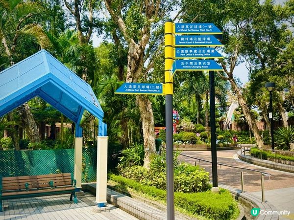 鰂魚涌公園新賞花好去處🪻🪷🌺🐰