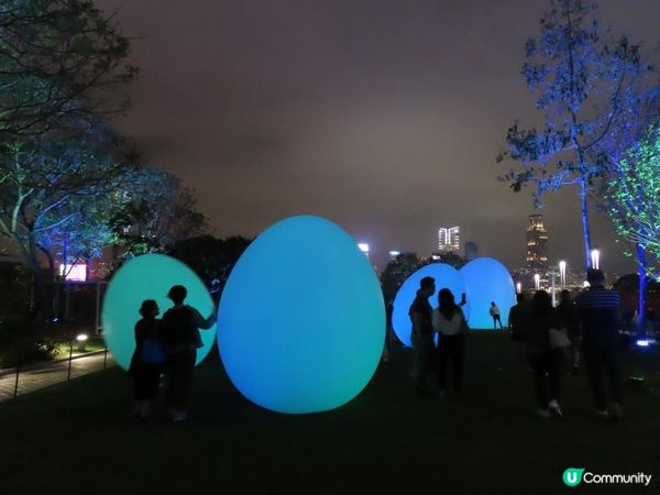 漫遊香港 - 藝術@維港2024 teamLab：光漣