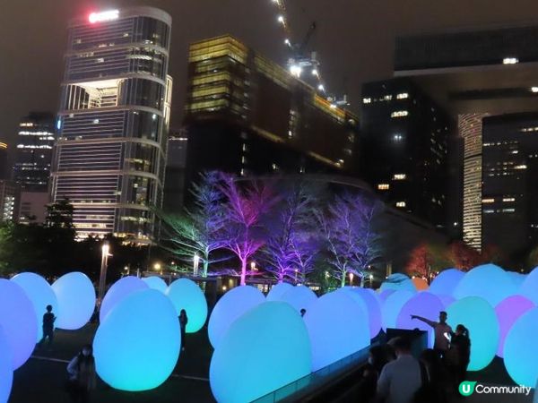 漫遊香港 - 藝術@維港2024 teamLab：光漣