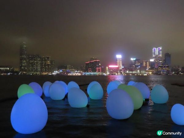 漫遊香港 - 藝術@維港2024 teamLab：光漣