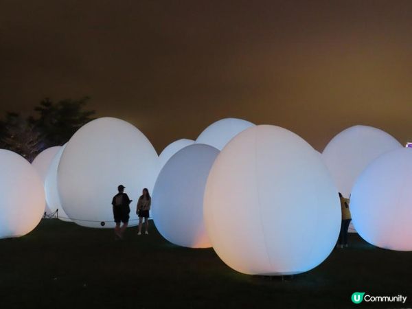 漫遊香港 - 藝術@維港2024 teamLab：光漣