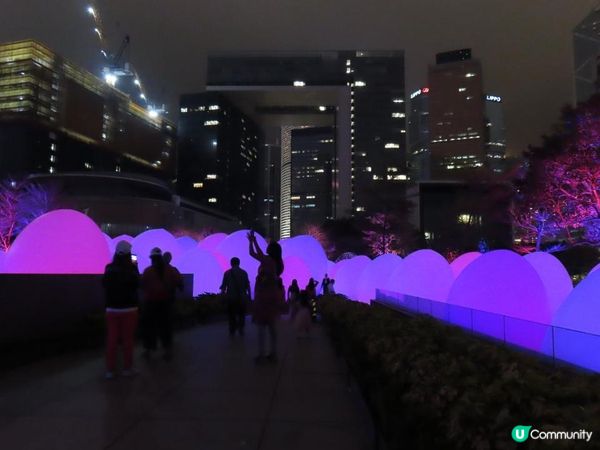 漫遊香港 - 藝術@維港2024 teamLab：光漣