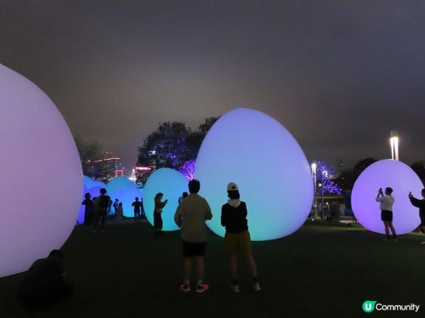 漫遊香港 - 藝術@維港2024 teamLab：光漣