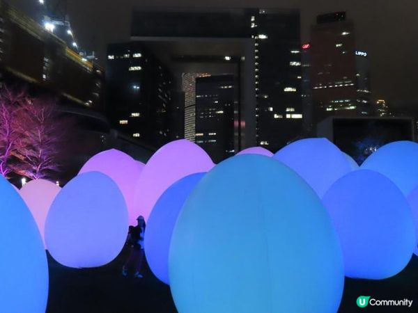 漫遊香港 - 藝術@維港2024 teamLab：光漣