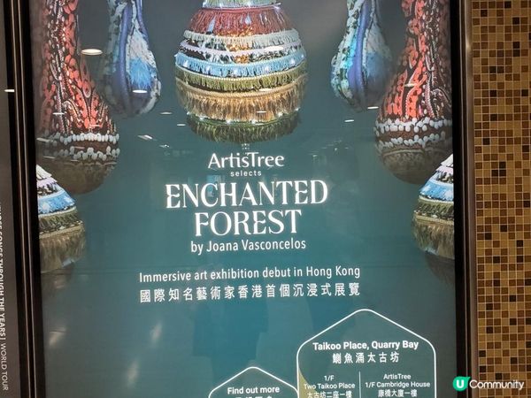 《耀眼璀璨的瞬間》