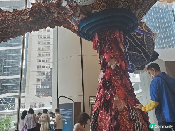 《耀眼璀璨的瞬間》