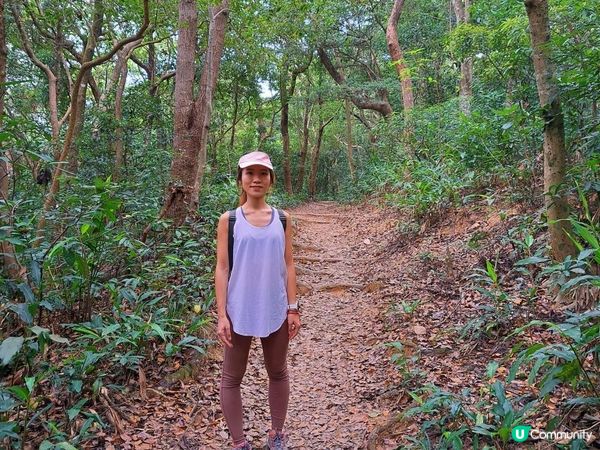 [行山要打卡]55 – 紅花嶺。蓮麻坑(郊遊徑)