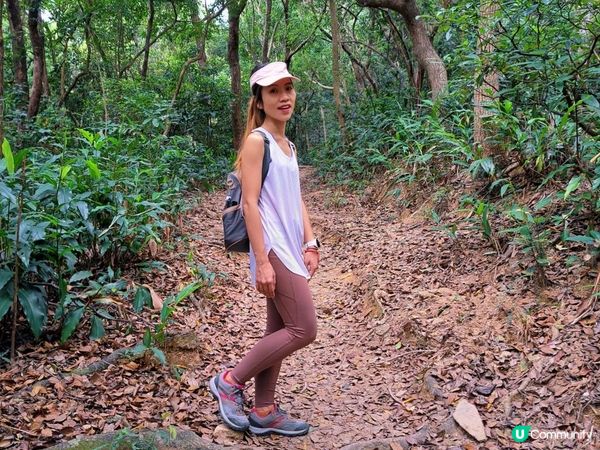 [行山要打卡]55 – 紅花嶺。蓮麻坑(郊遊徑)