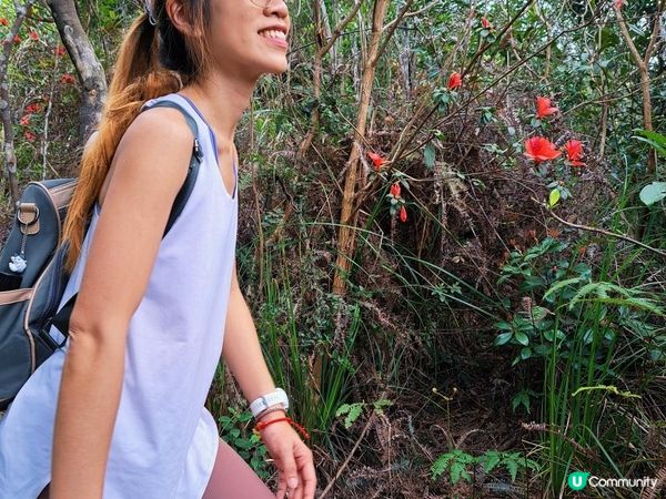 [行山要打卡]55 – 紅花嶺。蓮麻坑(郊遊徑)