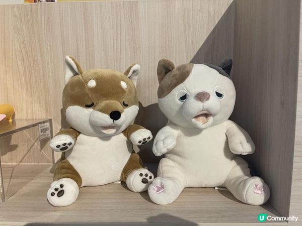 SnapLife Pop-Up Store@K11 Musea