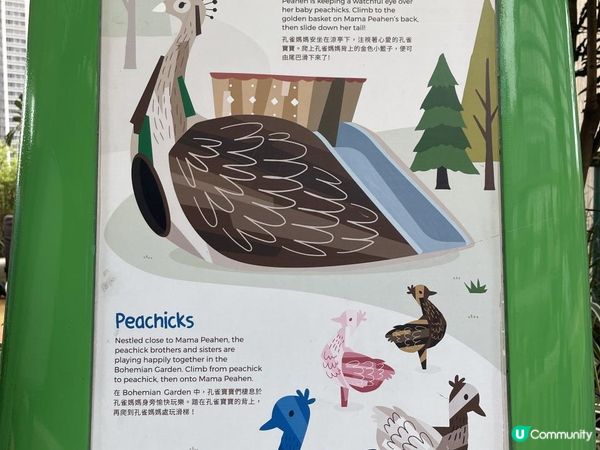 K11 MUSEA 孔雀公園