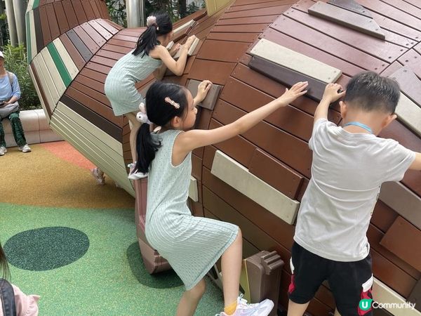 K11 MUSEA 孔雀公園