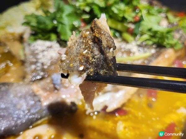 串燒 x 烤魚 x 火鍋