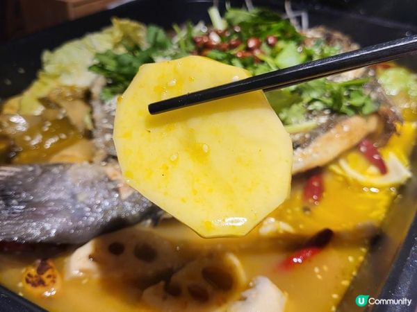 串燒 x 烤魚 x 火鍋