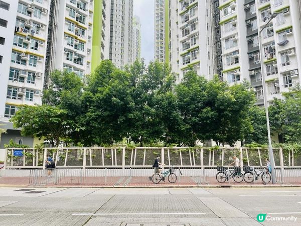 《綠在長沙灣》