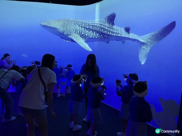 💙🩵浩海立方🌊・探游館🩵💙 I