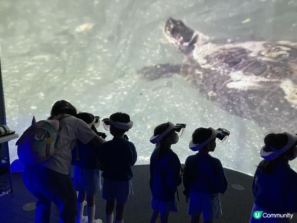 💙🩵浩海立方🌊・探游館🩵💙 I