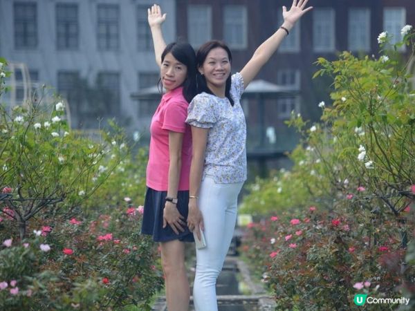 《豪斯登堡之旅》