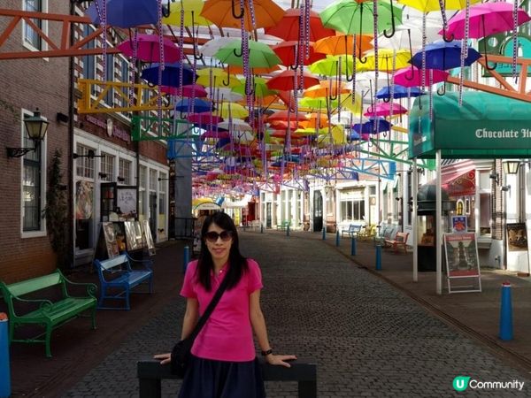 《豪斯登堡之旅》