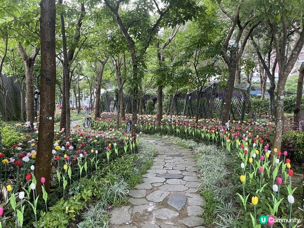 假日打咭必去《🎆流光溢彩耀東區》part II