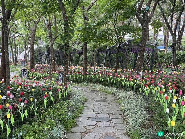 假日打咭必去《🎆流光溢彩耀東區》part II