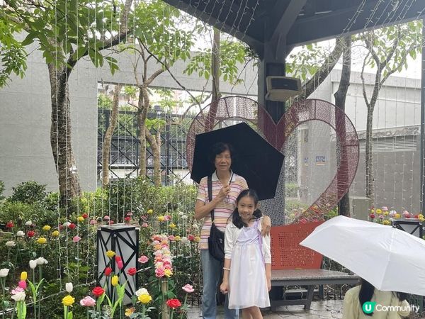 假日打咭必去《🎆流光溢彩耀東區》part II