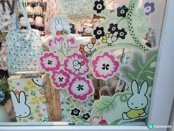 《Miffy 迷大召集 📢📣》