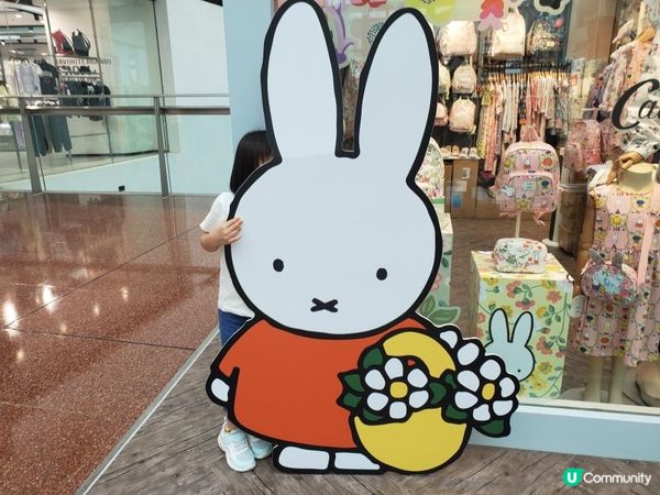《Miffy 迷大召集 📢📣》