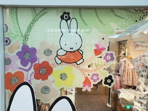 《Miffy 迷大召集 📢📣》