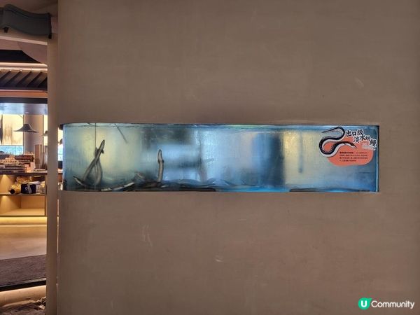 深圳 ︳和牛燒肉活鰻放題盛宴