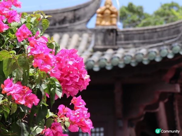 深圳大鵬一日遊 (下）大鵬所城