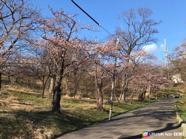 北海道小樽，岩井俊二情書電影場景介紹