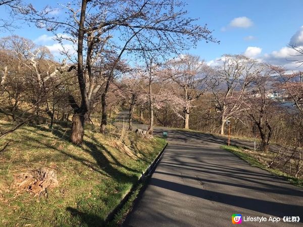 北海道小樽，岩井俊二情書電影場景介紹