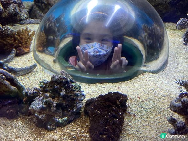 免費親子好去處-《香港文化博物館-兒童探知館》