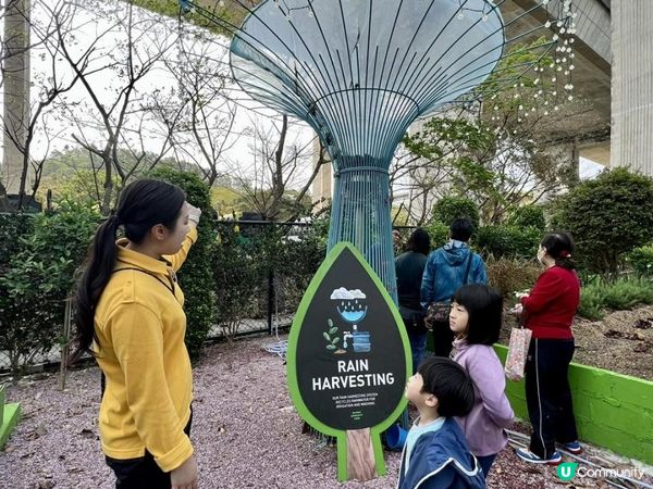 不一樣綠意農莊星級 GLAMPING