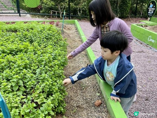 不一樣綠意農莊星級 GLAMPING