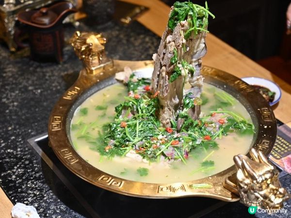 打邊爐出色又好食