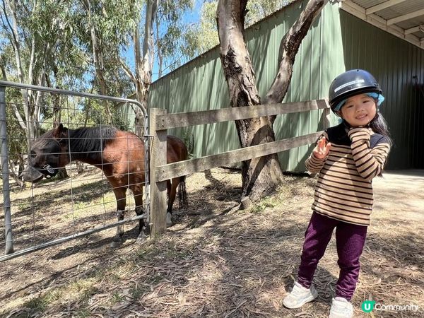 老六悅悅的首個騎術訓練🐴