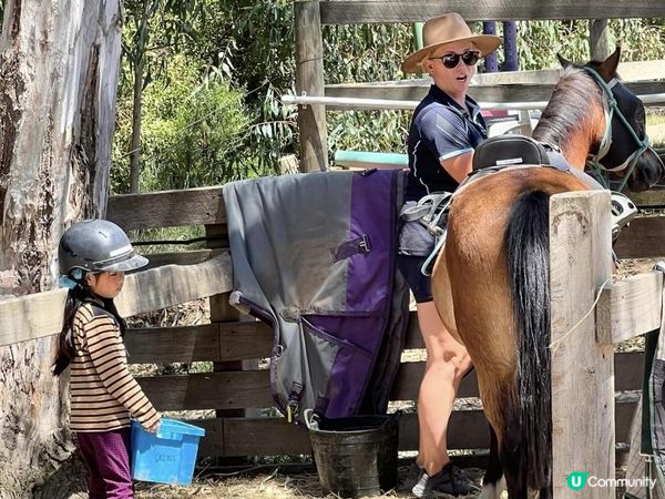 老六悅悅的首個騎術訓練🐴