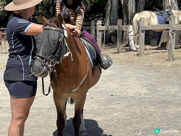 老六悅悅的首個騎術訓練🐴