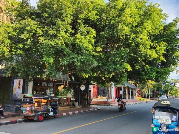 雙條車 vs Call車App