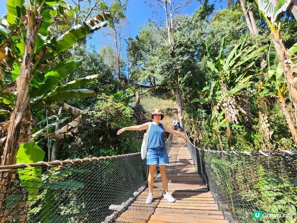 【湄林蒙占山1】飛車越叢林 雙輪走鋼索 網床Cafe觀瀑布