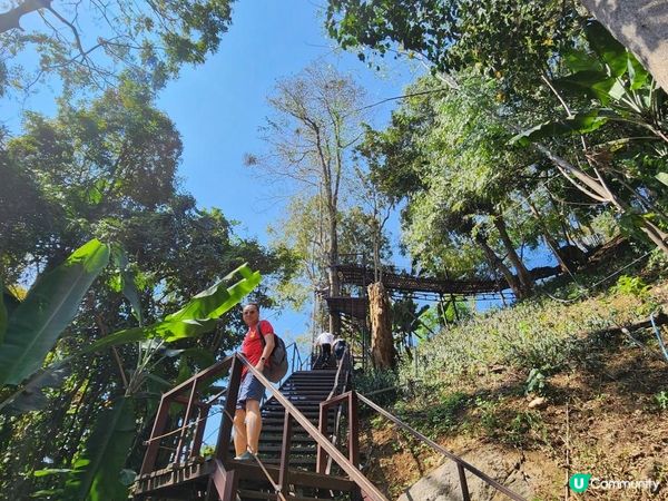 【湄林蒙占山1】飛車越叢林 雙輪走鋼索 網床Cafe觀瀑布