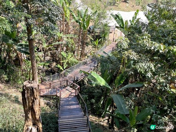 【湄林蒙占山1】飛車越叢林 雙輪走鋼索 網床Cafe觀瀑布