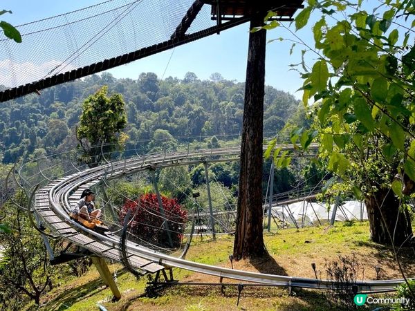 【湄林蒙占山1】飛車越叢林 雙輪走鋼索 網床Cafe觀瀑布