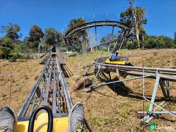 【湄林蒙占山1】飛車越叢林 雙輪走鋼索 網床Cafe觀瀑布