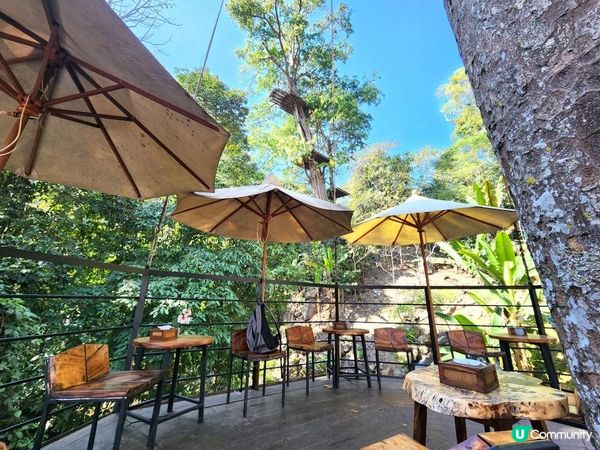 【湄林蒙占山1】飛車越叢林 雙輪走鋼索 網床Cafe觀瀑布