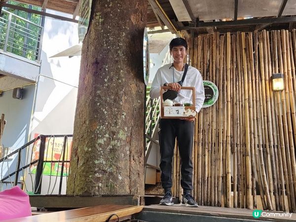 【湄林蒙占山1】飛車越叢林 雙輪走鋼索 網床Cafe觀瀑布