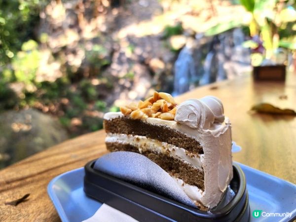 【湄林蒙占山1】飛車越叢林 雙輪走鋼索 網床Cafe觀瀑布