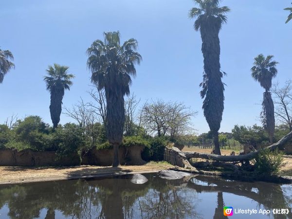 【澳洲非自駕遊】墨爾本近郊Werribee好去處！親子打卡一take過 非洲Safari式動物園/百年歷史豪宅/維州玫瑰園